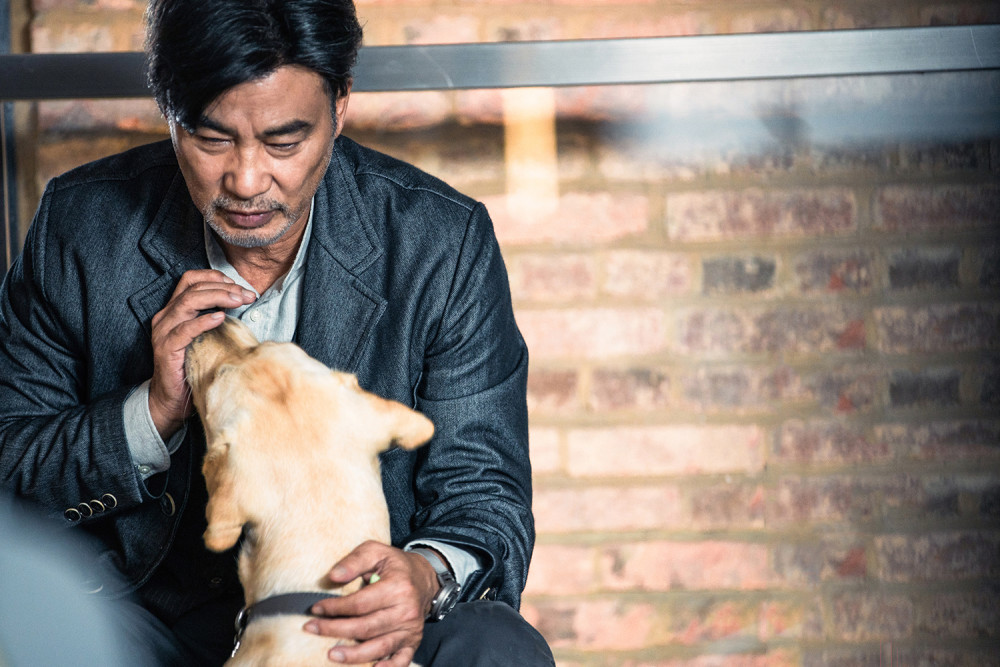 2021CPF广州宠物展知识科普：你对导盲犬还有哪些误解？