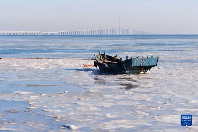 山东青岛海域出现大量海冰