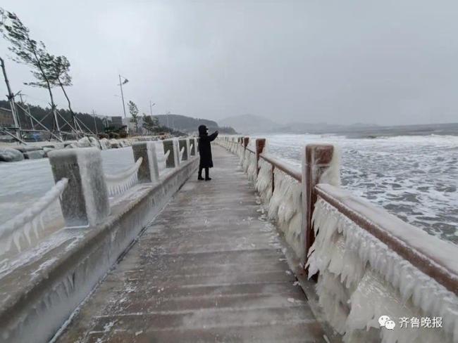 太震撼！威海烟台一夜进入“冰河世纪”