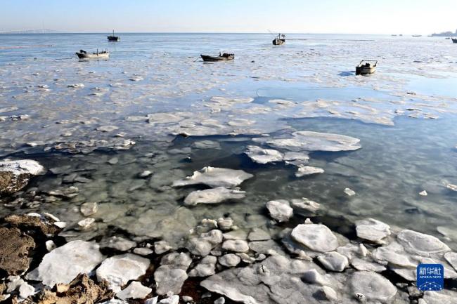 山东青岛海域出现大量海冰