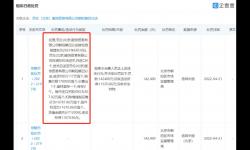 华伦天奴背提包进价5千卖1万8