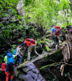 登山露营等户外活动增多不爬野山不独自进山才安全