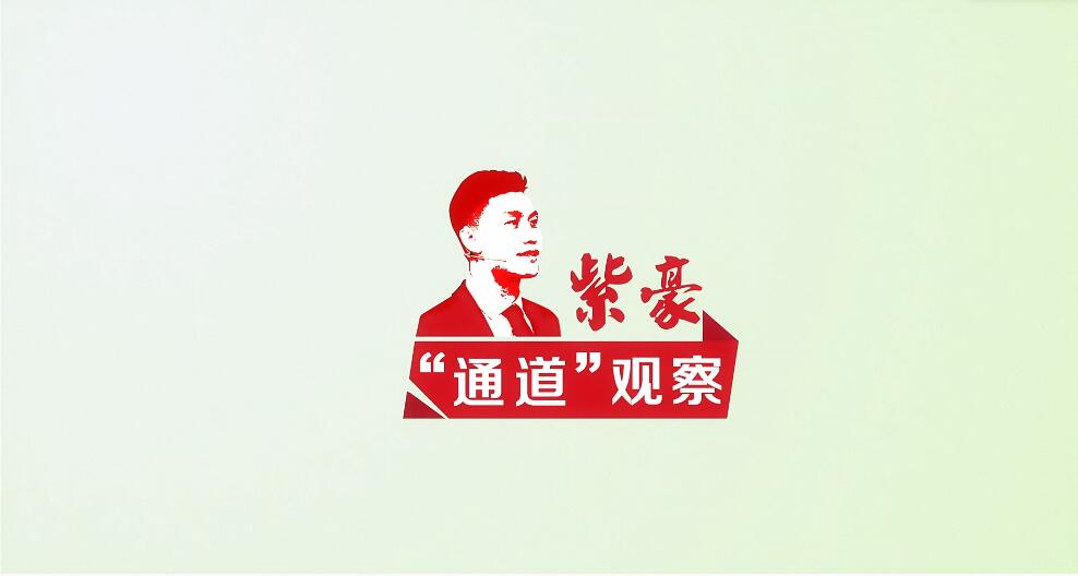 “委员通道”第三场：把智慧和力量凝聚起来