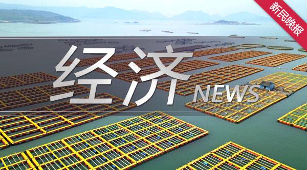 就医少期待，为老处事一键通……上海都市数字化转型划了这11个重