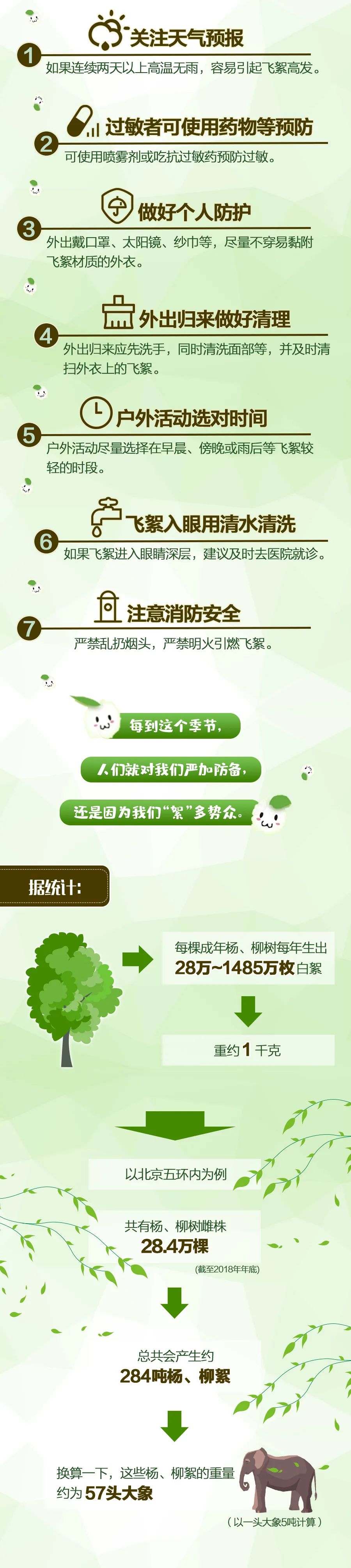 杨、柳絮：有人说我会传播新冠病毒？其实……
