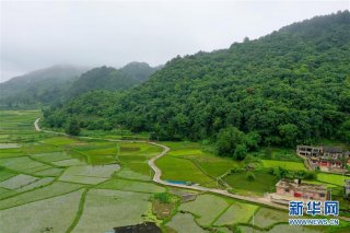 贵州：田园夏日风光美