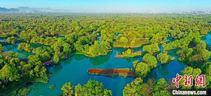 西溪湿地美景。西溪湿地提供 西溪湿地美景。西溪湿地提供