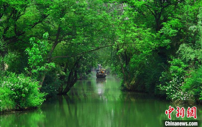 西溪湿地美景。 西溪湿地提供 摄 西溪湿地美景。 西溪湿地提供 摄