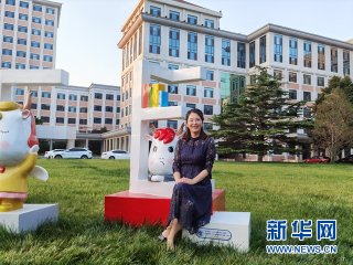 中央财经大学提醒新高考地区考生：报考时需看清专业选考要求