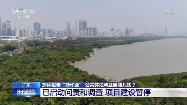 连名字都抄 深圳某项目环评报告竟出现35次“湛江”