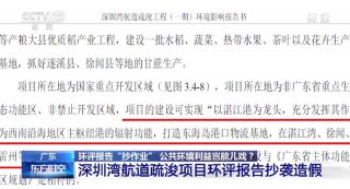 连名字都抄 深圳某项目环评报告竟出现35次“湛江”