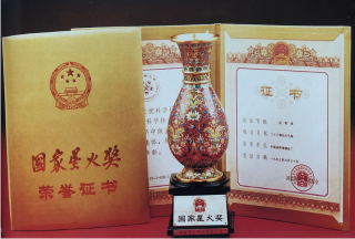 创造世界医学史上的奇迹（之五）---505 来辉武