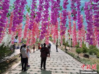 青海黄河谷地：乡村生态游“鼓”了腰包 “点靓”环境