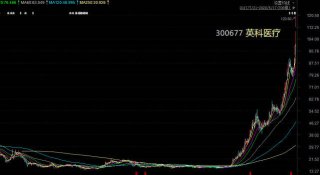 基金经理为估值吵翻了：翻了6倍的英科医疗 机构还在买买买