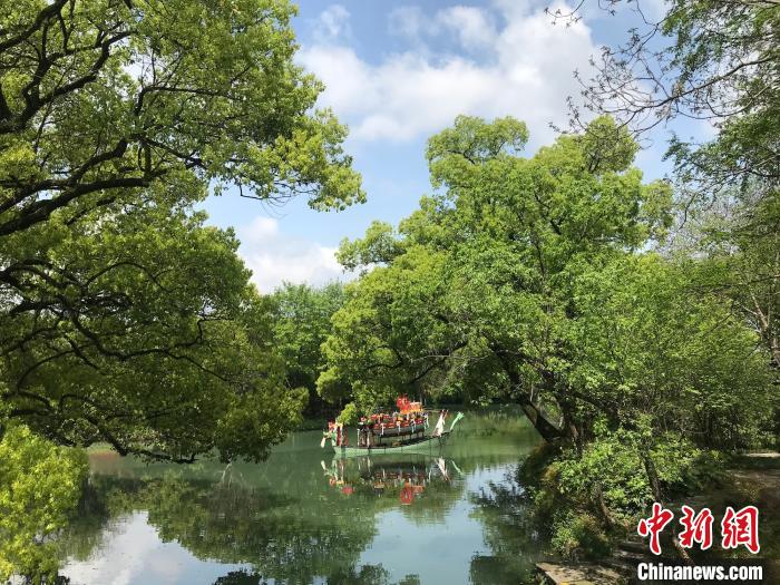 西溪湿地美景。 严格 摄 西溪湿地美景。 严格 摄