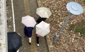 北京雨雪已到货！两大机场取消百余架次航班
