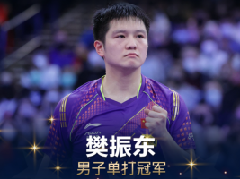 4-0横扫瑞典选手 樊振东首获世乒赛男单冠军