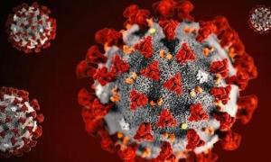 海南海口一幼儿园33名师生出现诺如病毒感染性腹泻