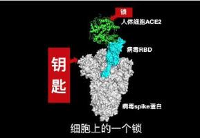 中国首个新冠特效药获批上市：一针持续9个月