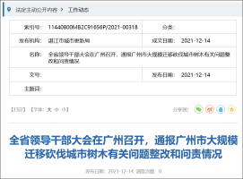 广东通报“广州大规模砍树”：错误严重教训深刻