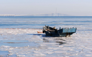 山东青岛海域出现大量海冰